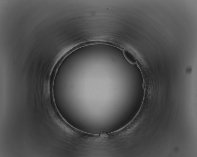 X0000096650884200802121130