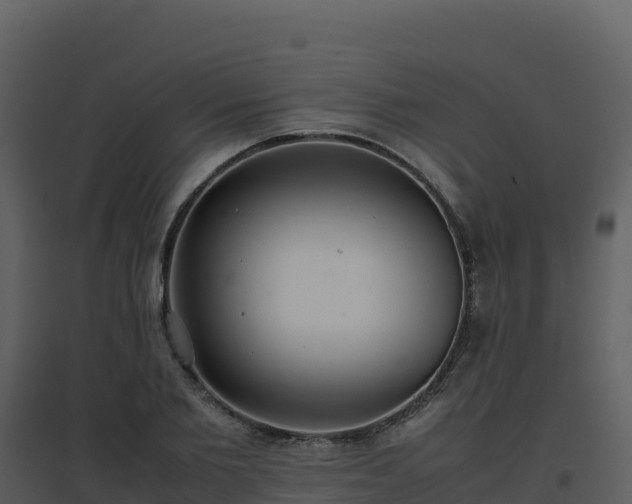 X0000096650885200802121130