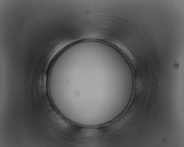 X0000096650886200802121130