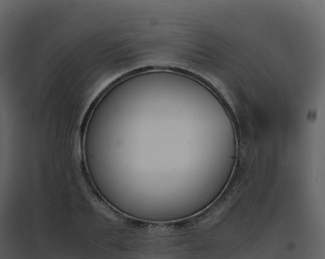 X0000096650887200802121130
