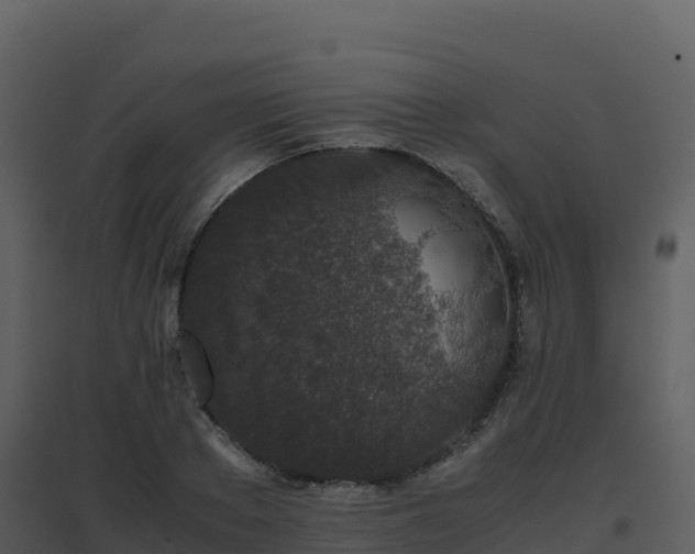 X0000096650889200802121130