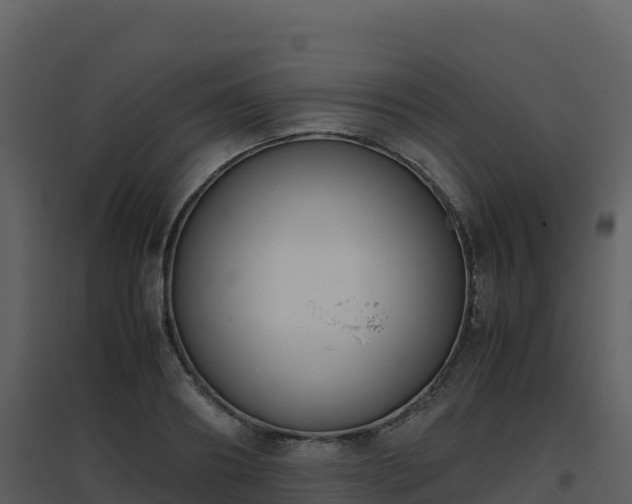 X0000096650890200802121130