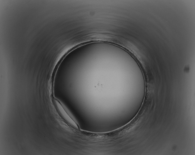 X0000096650891200802121130