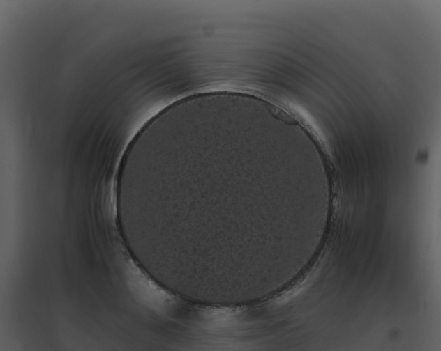 X0000096650892200802121130