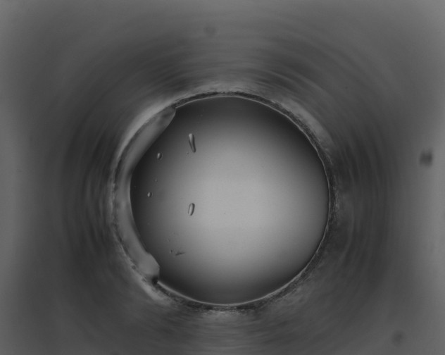 X0000096650894200802121130