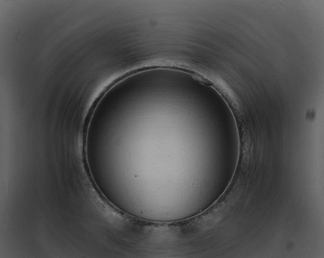 X0000096650896200802121130