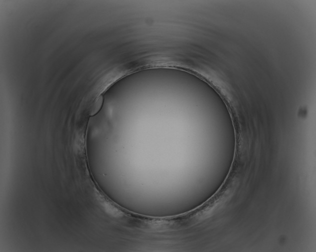 X0000096650897200802121130
