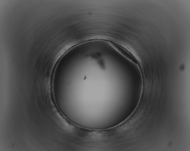 X0000096650898200802121130
