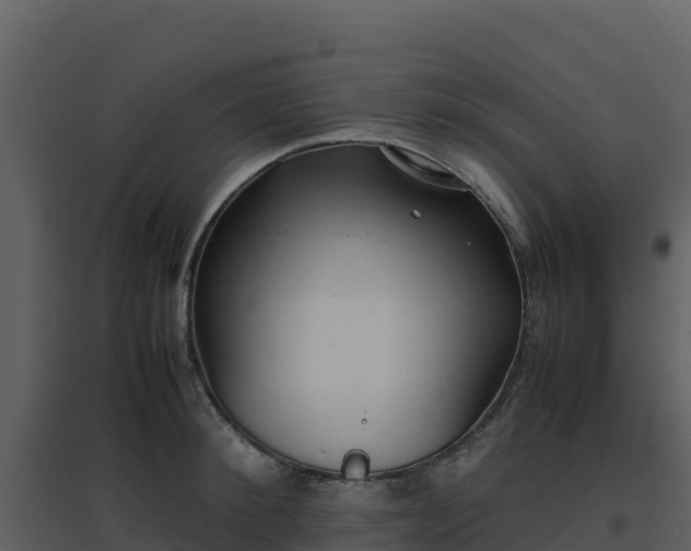 X0000096650900200802121130