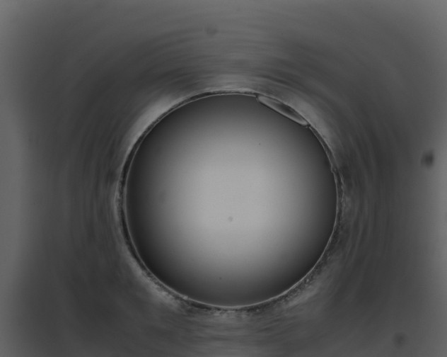 X0000096650901200802121130