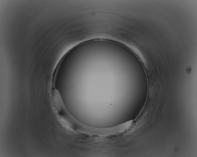 X0000096650903200802121130