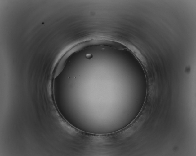 X0000096650904200802121130