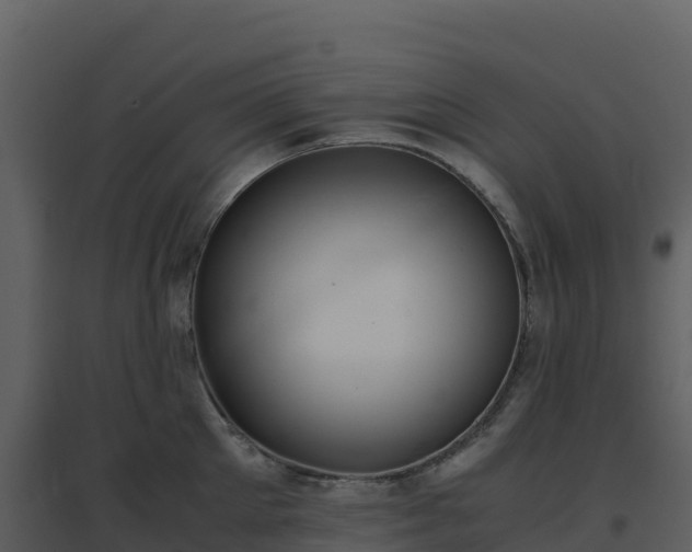 X0000096650905200802121130