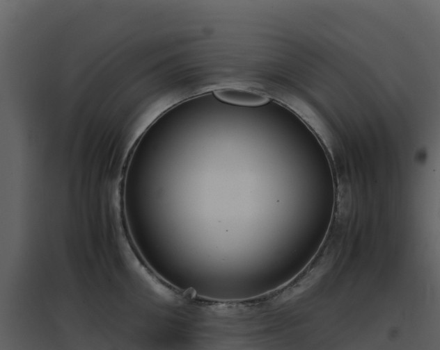 X0000096650906200802121130