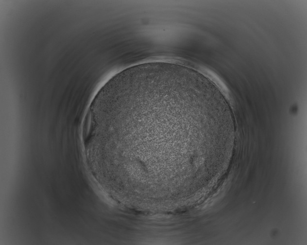 X0000096650907200802121130
