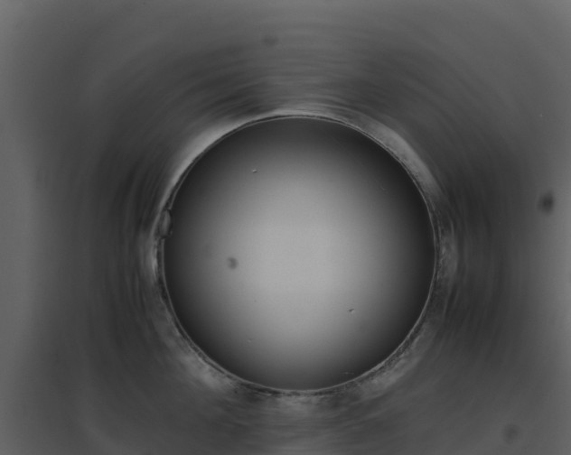 X0000096650908200802121130