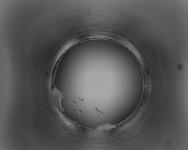 X0000096650909200802121130