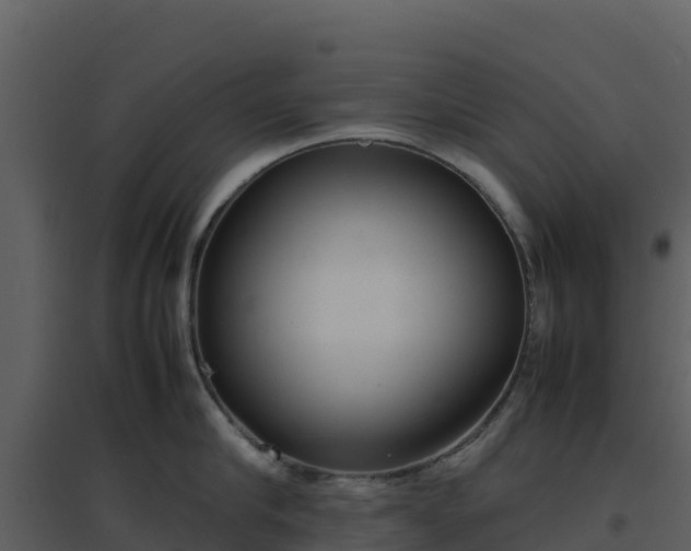 X0000096650910200802121130