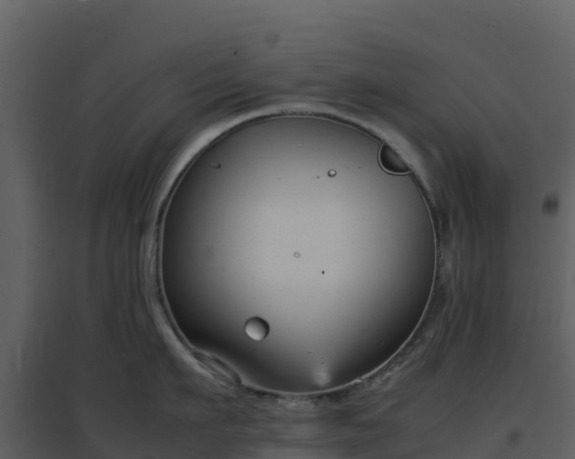 X0000096650911200802121130