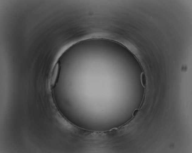 X0000096650912200802121130