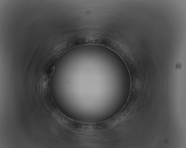 X0000096650914200802121129