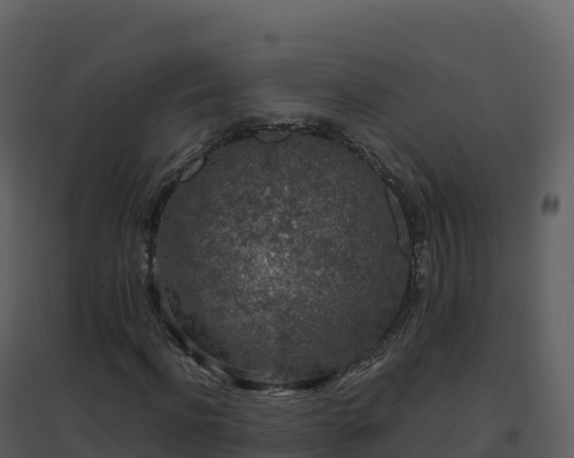 X0000096650916200802121129