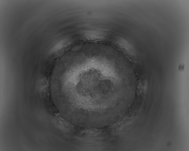 X0000096650917200802121129