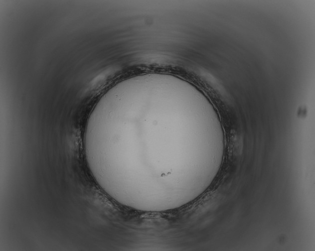 X0000096650918200802121129