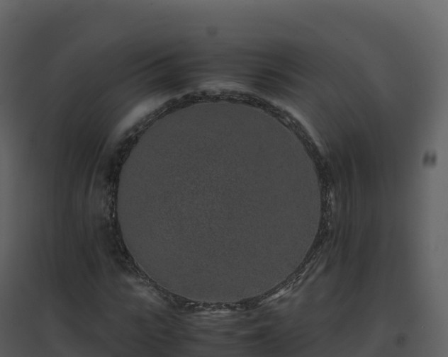 X0000096650919200802121129