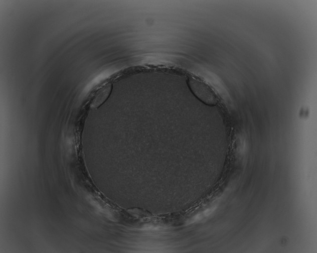 X0000096650920200802121129