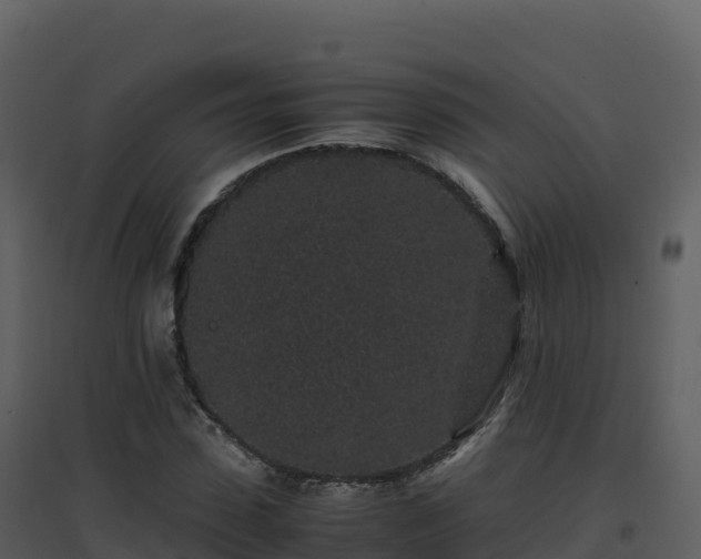 X0000096650923200802121129