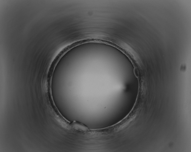 X0000096650924200802121129