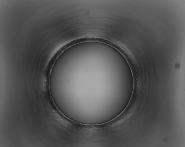 X0000096650926200802121129