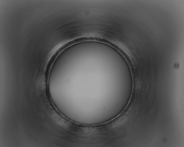 X0000096650927200802121129