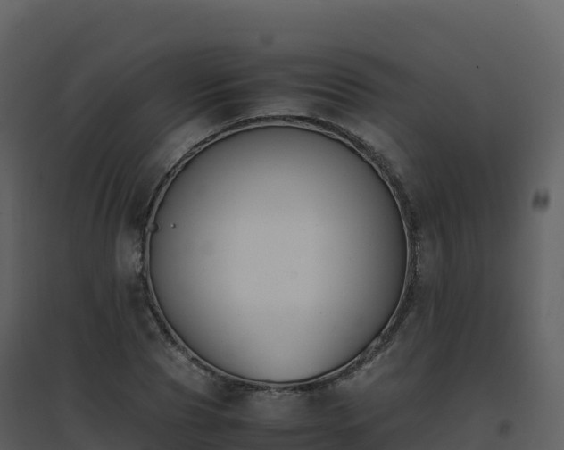 X0000096650929200802121129