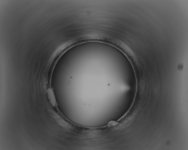 X0000096650930200802121129