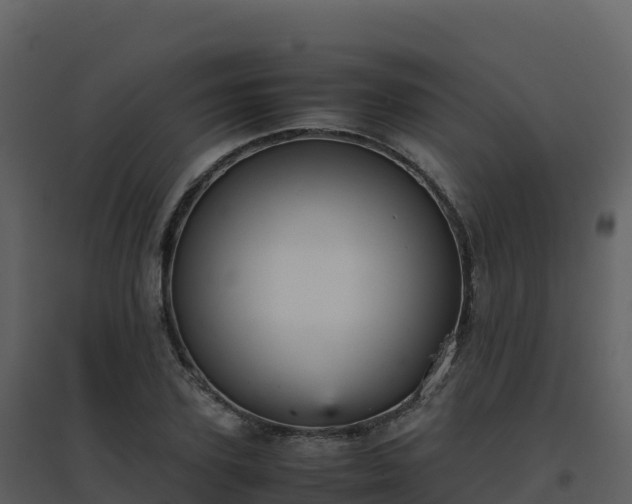 X0000096650931200802121129