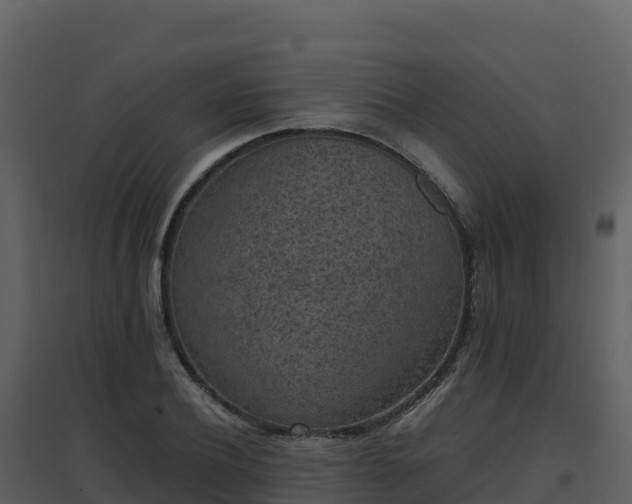 X0000096650932200802121129