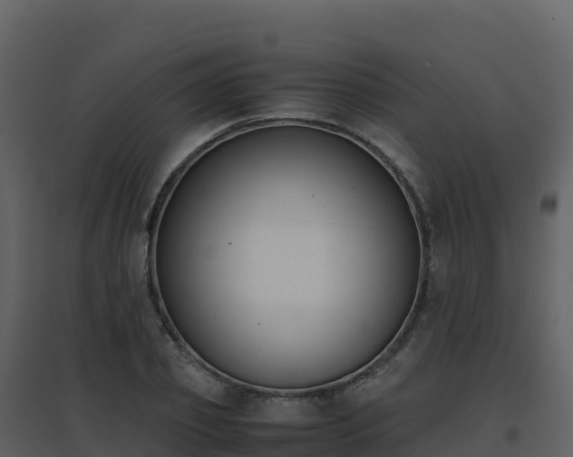 X0000096650933200802121129