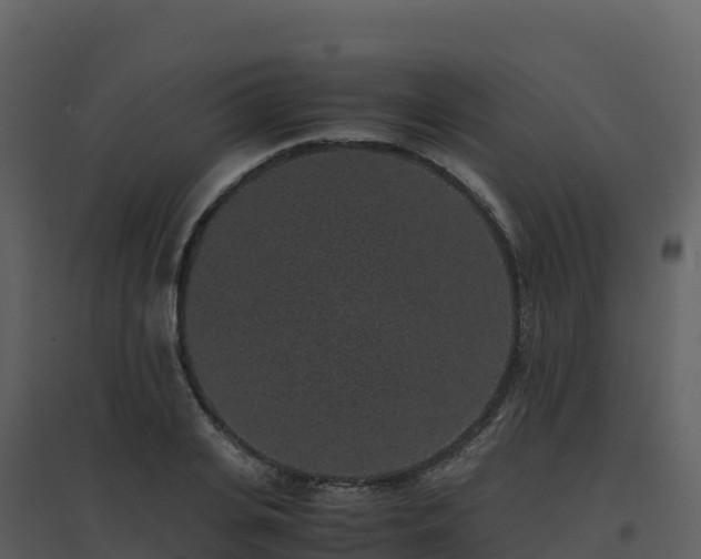 X0000096650935200802121129