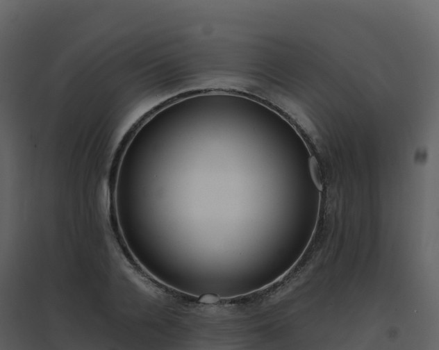 X0000096650936200802121129
