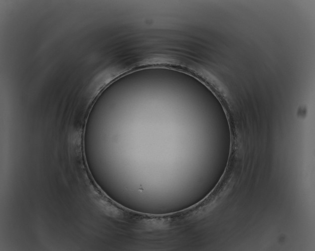 X0000096650937200802121129