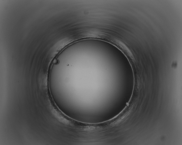 X0000096650938200802121129