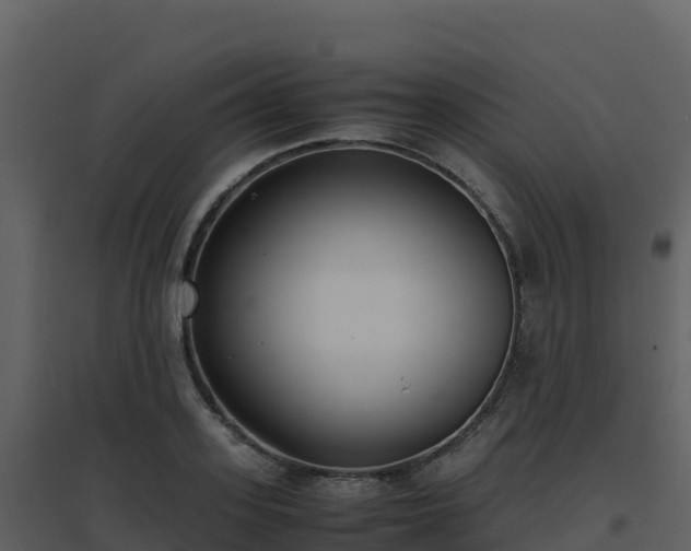 X0000096650939200802121129