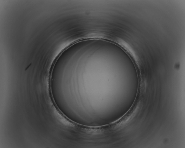 X0000096650941200802121129