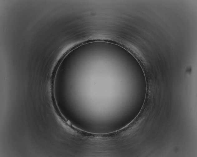 X0000096650942200802121129