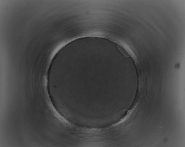 X0000096650944200802121129