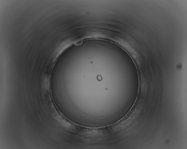 X0000096650945200802121129