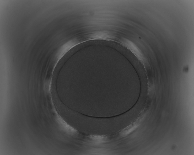 X0000096650946200802121129