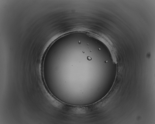 X0000096650947200802121129